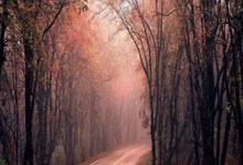 [图]ATP1000迈阿密站 布云朝克特0-2告负止步第二轮.