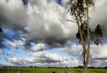 问鼎app官网：费兰本赛季已打进13球，平曼城时期个人单赛季最高进球数.