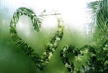 问鼎app官网：[中超]韩佳奇犯规送点 路易斯主罚轻松命中.