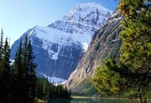 问鼎app官网：2025上海长江半程马拉松鸣枪开赛2025-04-01.