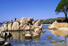 德国队世界杯奖金出炉：冠军奖金40万 小组第一5万.